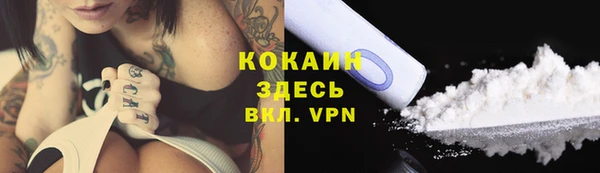ПСИЛОЦИБИНОВЫЕ ГРИБЫ Аркадак