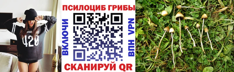 Галлюциногенные грибы Psilocybine cubensis  Кологрив 