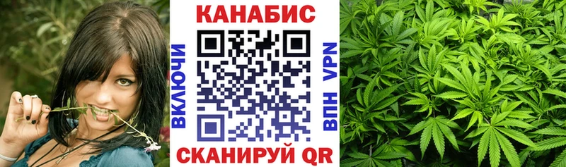 Шишки марихуана индика Кологрив
