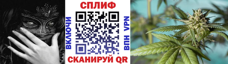 Марихуана планчик  Кологрив 